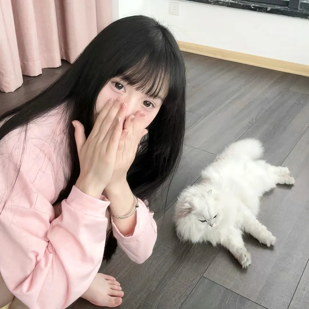 槑头槑脑3
